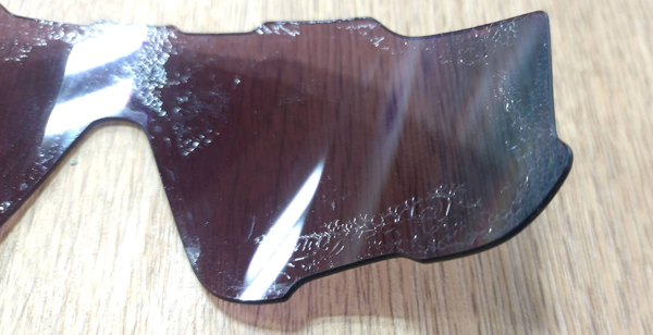 DSC_0000_BURST20250619174317837_COVER