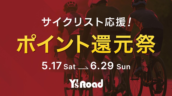 img_ds-h_hansoku2505_kawasaki