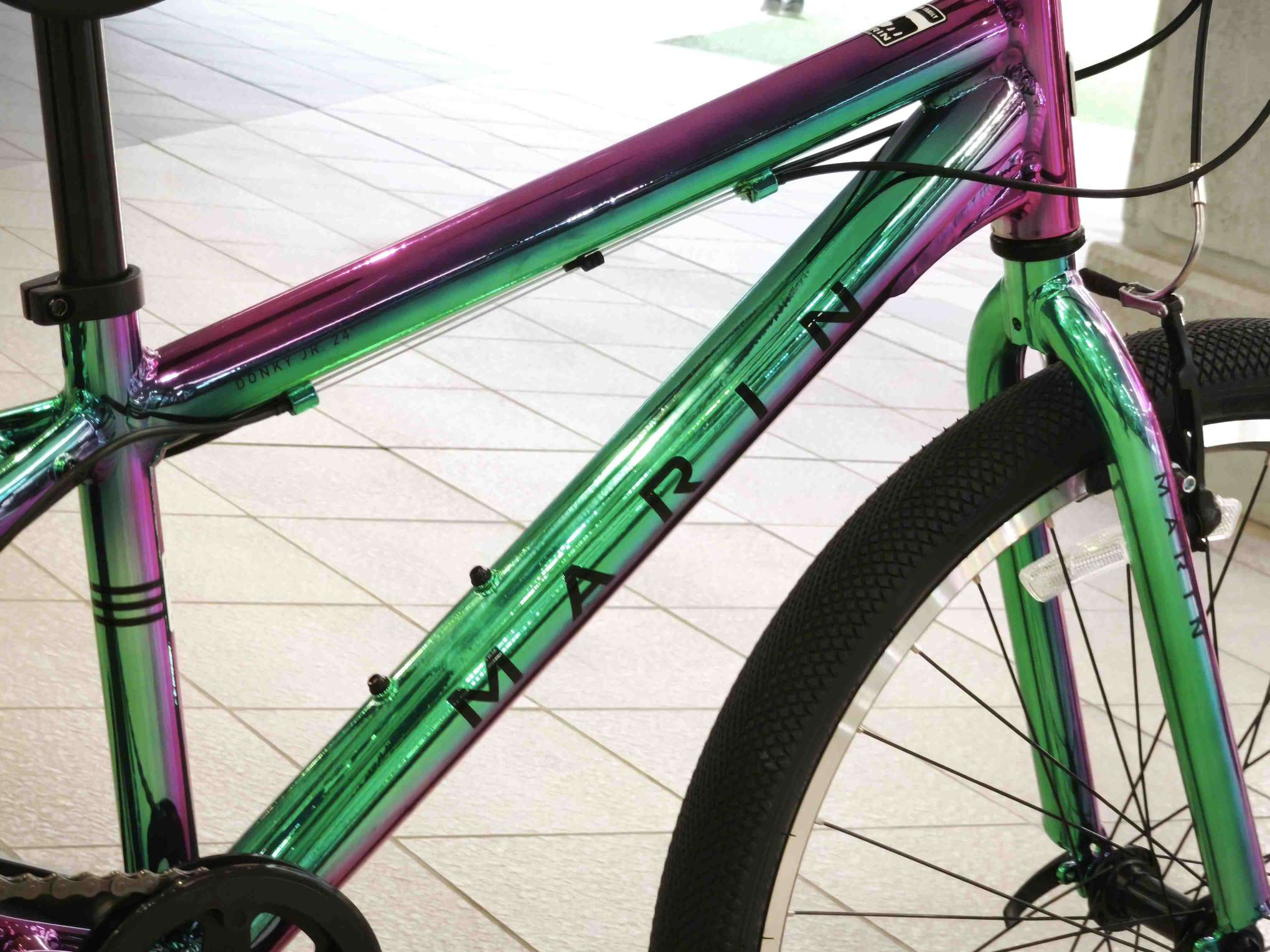 Compress_20251223_193517_7638