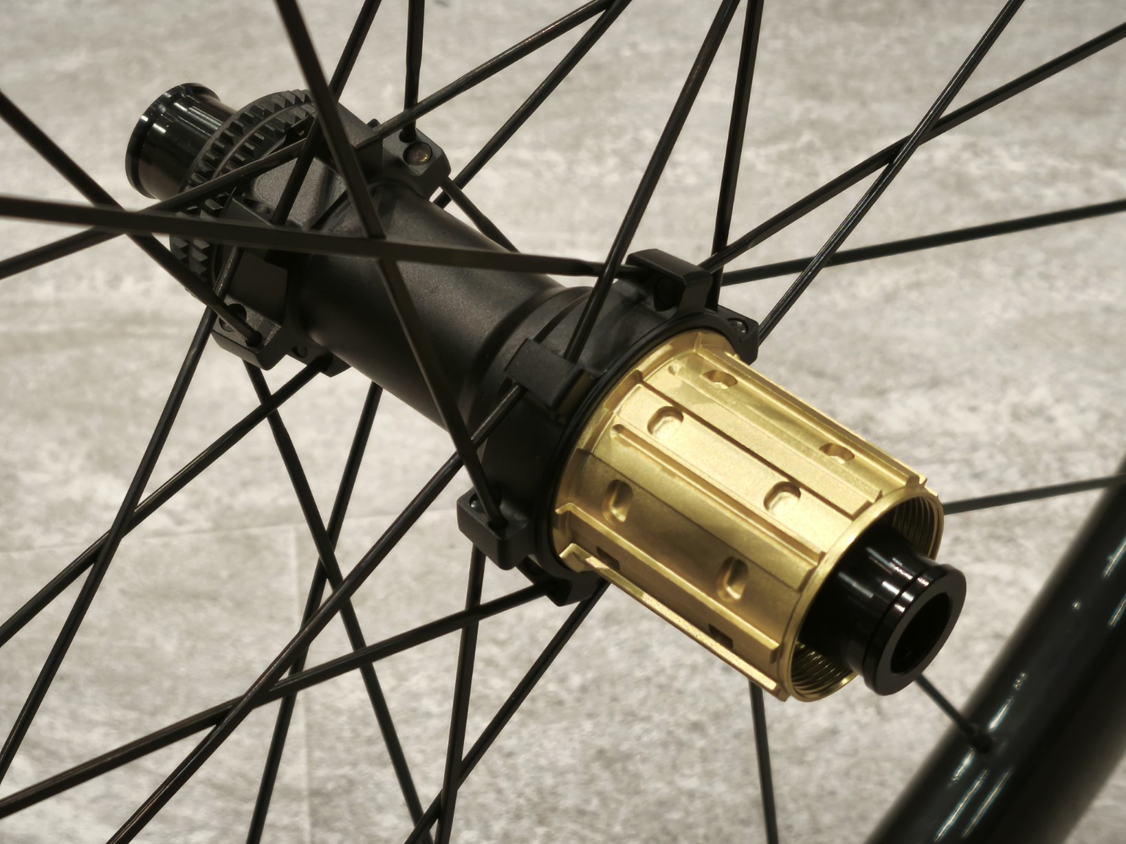 IMG_20251204_190328_copy_1638x1228