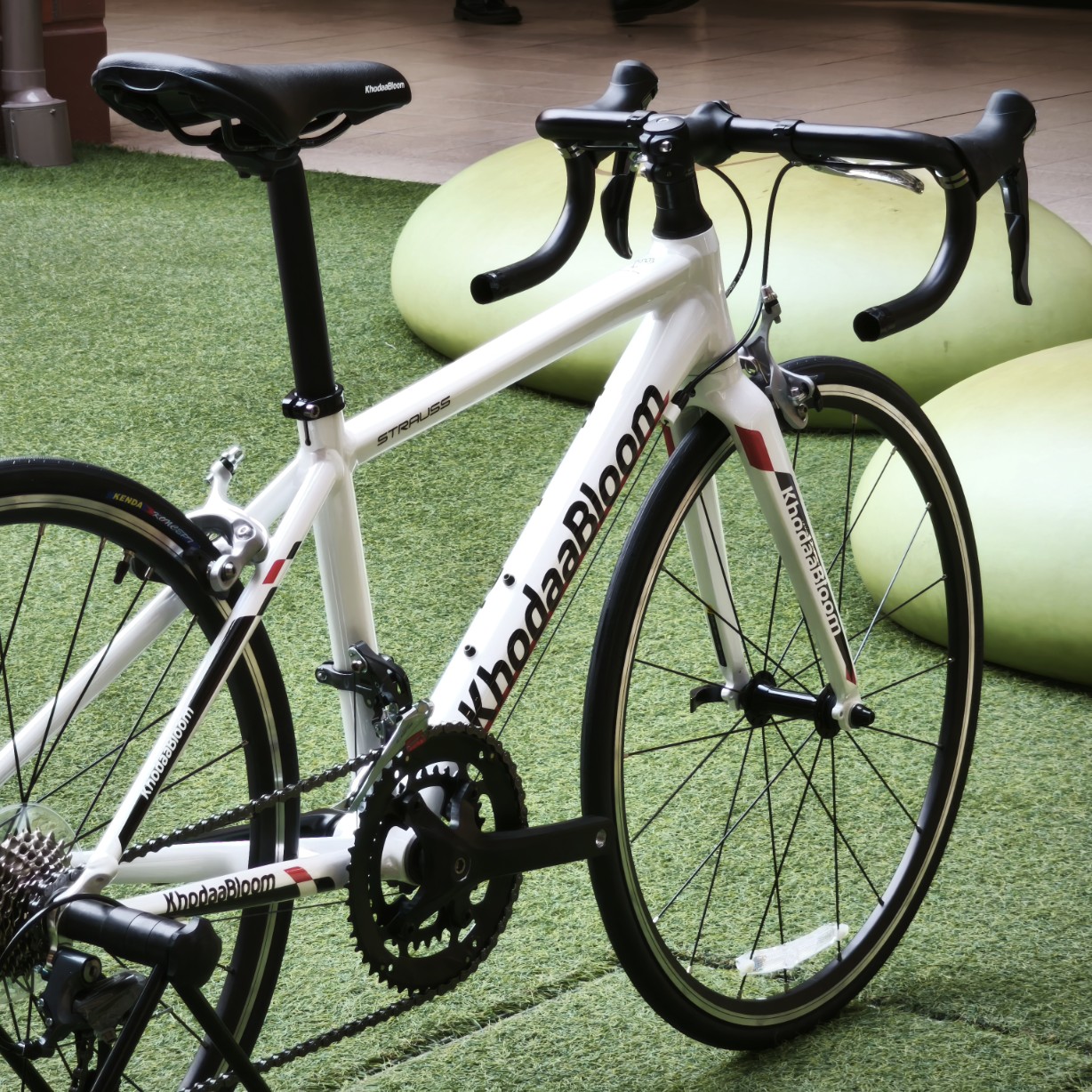 IMG_20251206_132442_copy_1228x1228