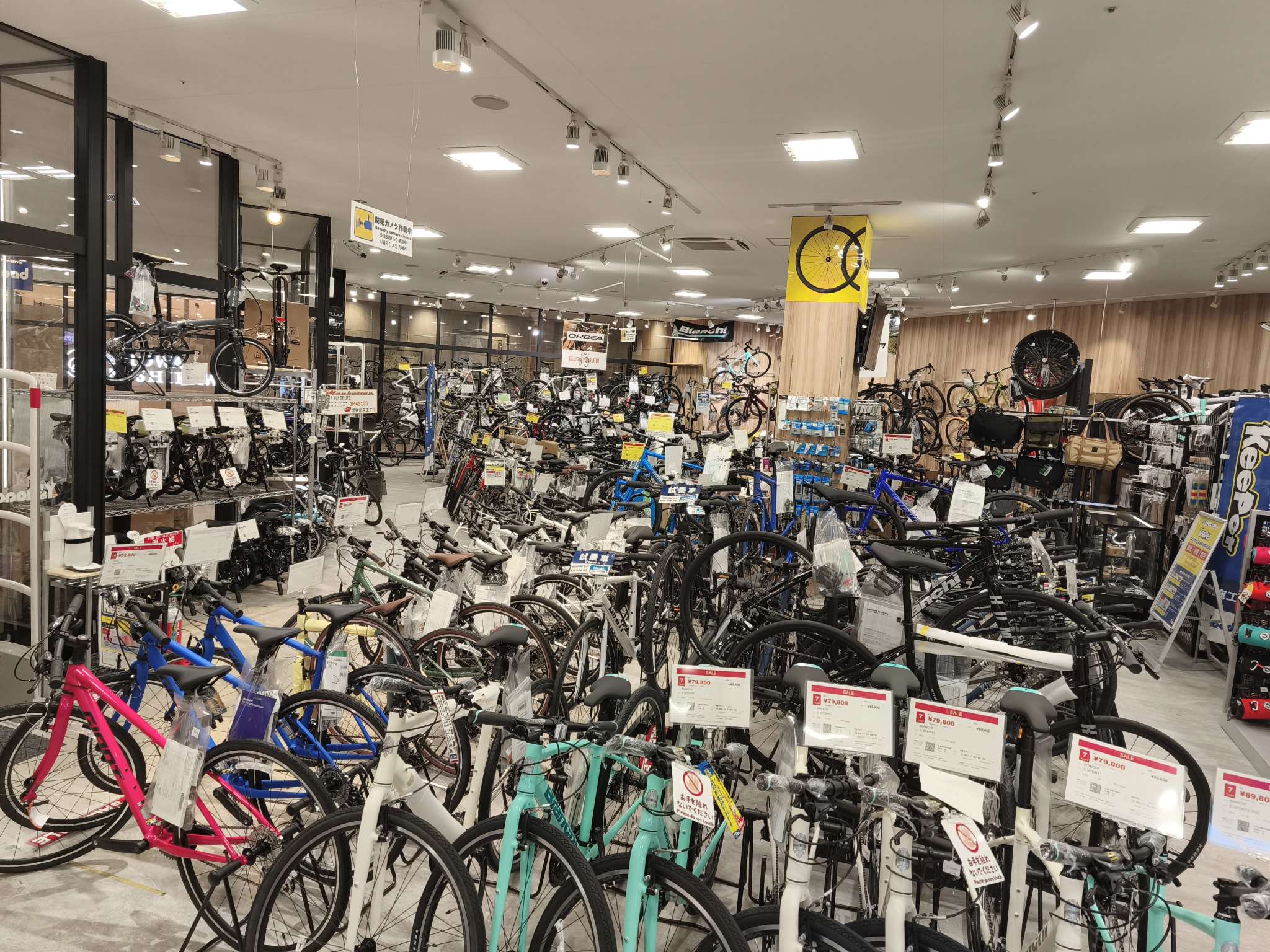 Compress_20260304_195439_9102