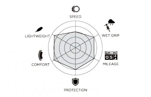 p-zero-race-wo-diagram-2023