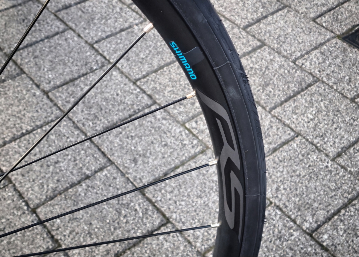 Screenshot_20241212_155348