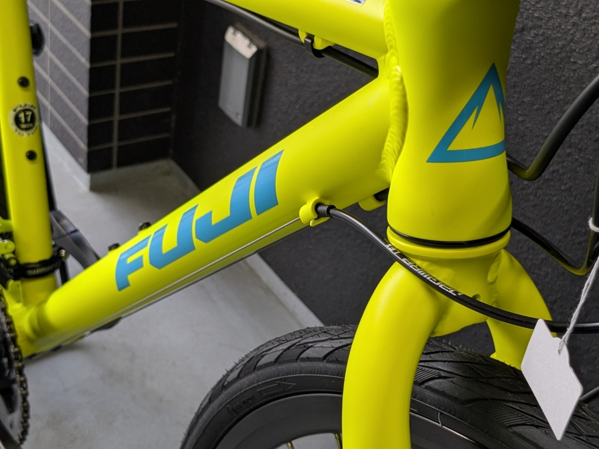 PXL_20250222_043547277