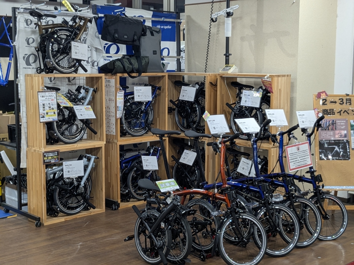 PXL_20250228_105024526