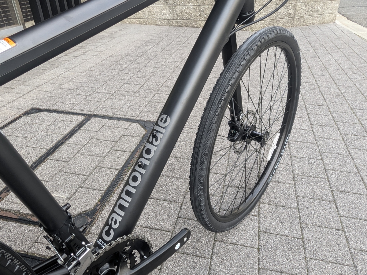 PXL_20250313_052543950