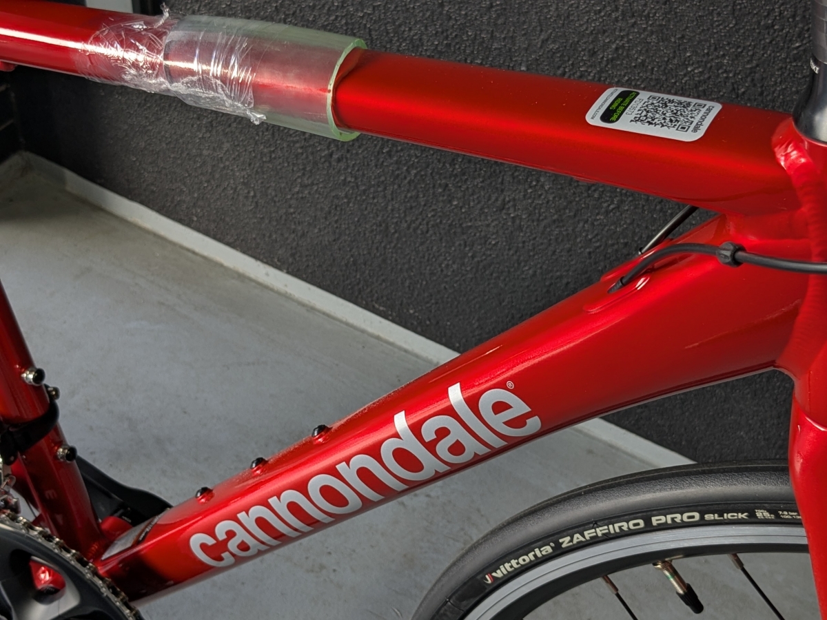 PXL_20250314_044214317