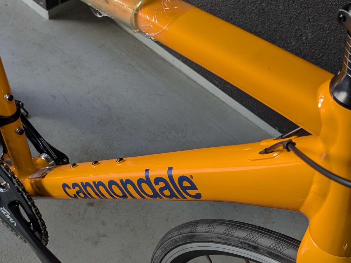 PXL_20250314_045004911