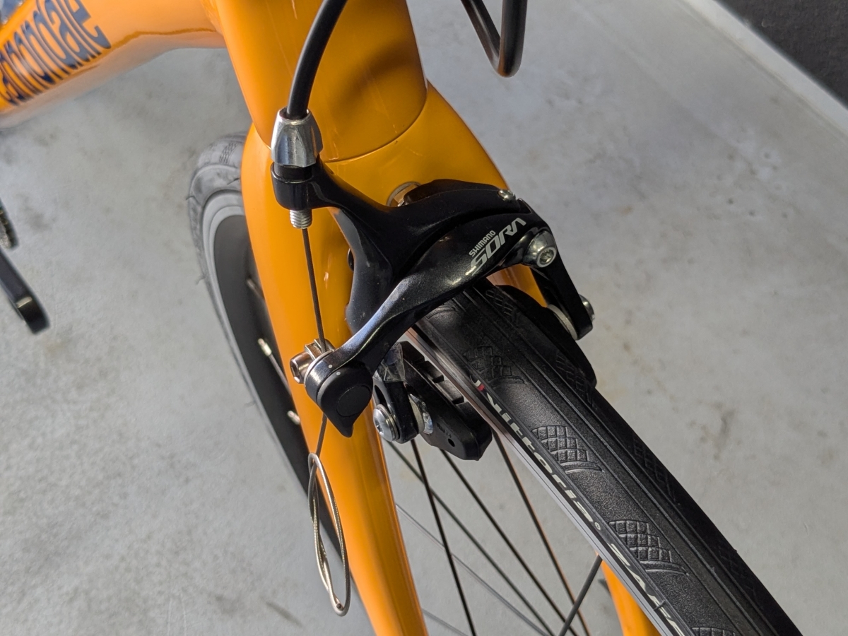 PXL_20250314_045008859