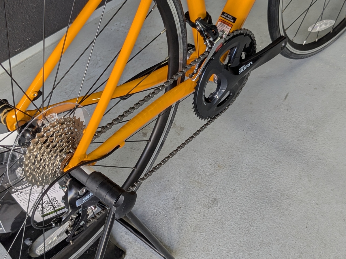 PXL_20250314_045013796