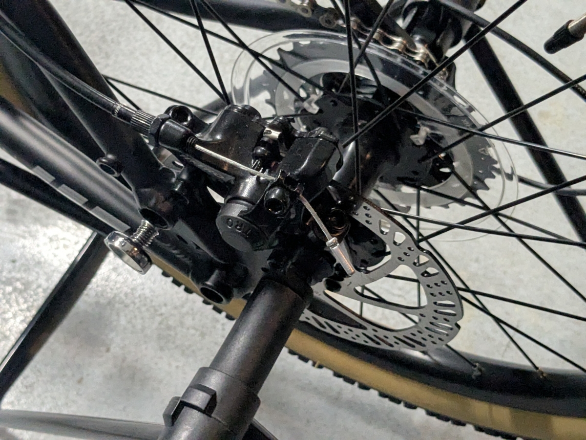 PXL_20250318_104105908