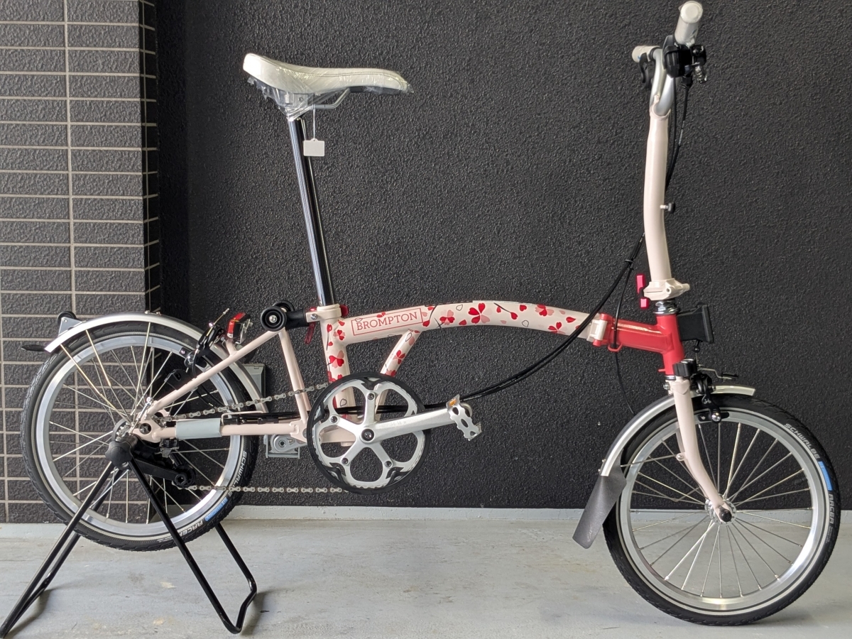 PXL_20250325_051134253