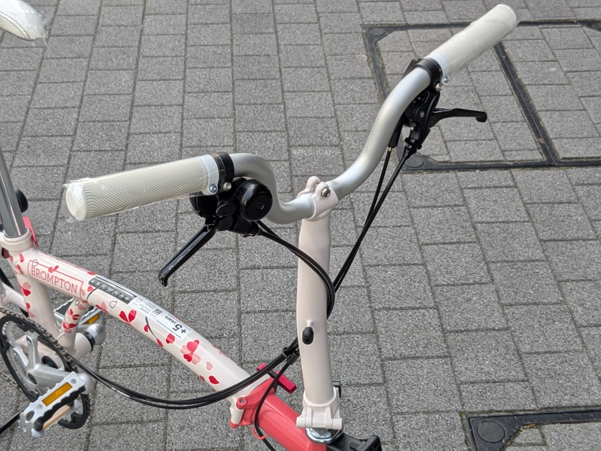 PXL_20250325_051244893