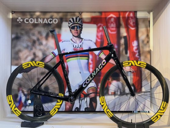 レア】ポガチャル選手直筆サイン入り Colnago サイクリングキャップ