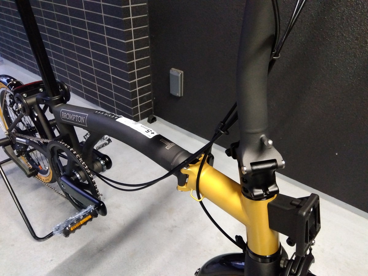 IMG_2025-08-17-18-41-08-706[1]