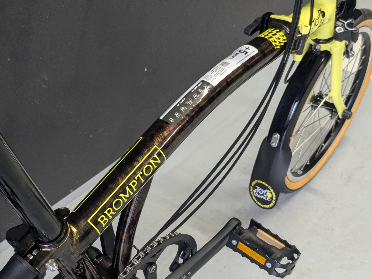 PXL_20251004_053659363