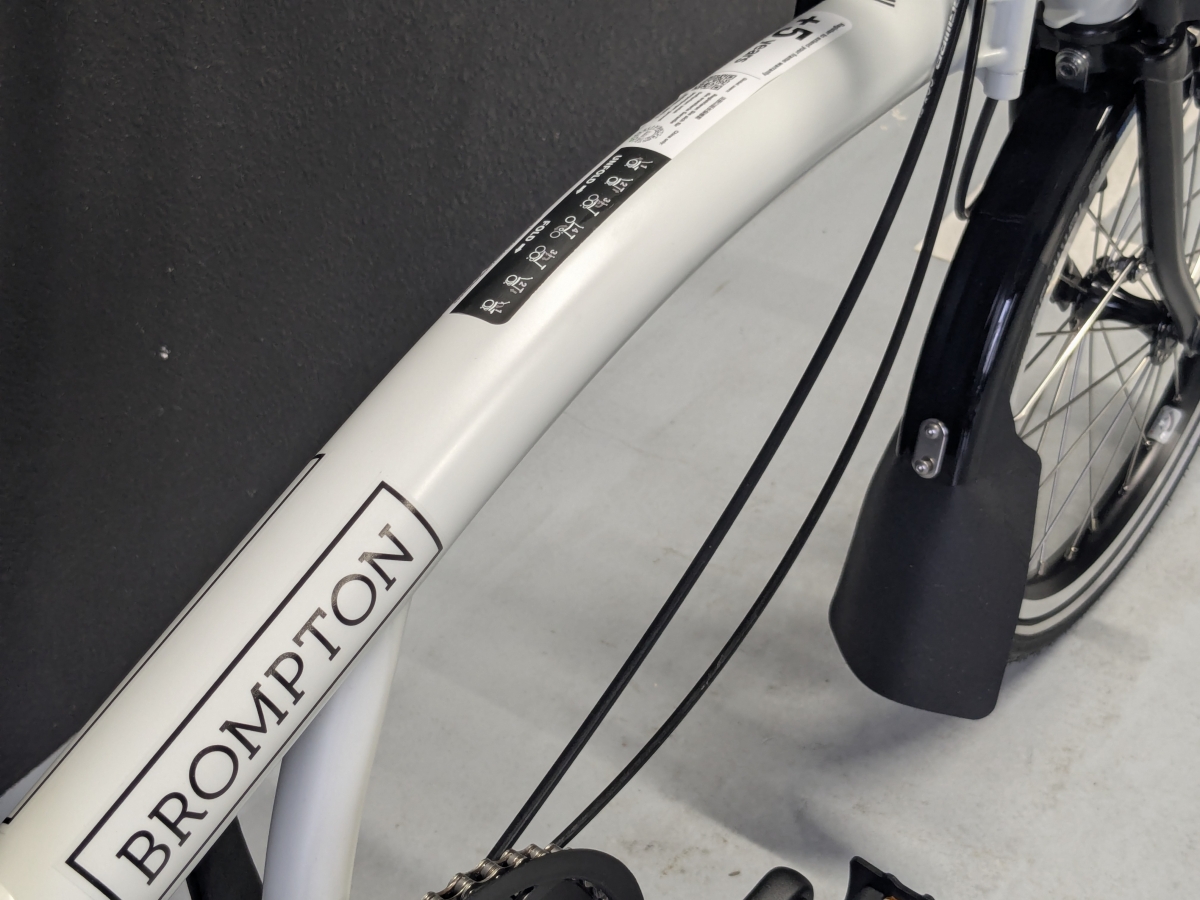 PXL_20251031_042637885