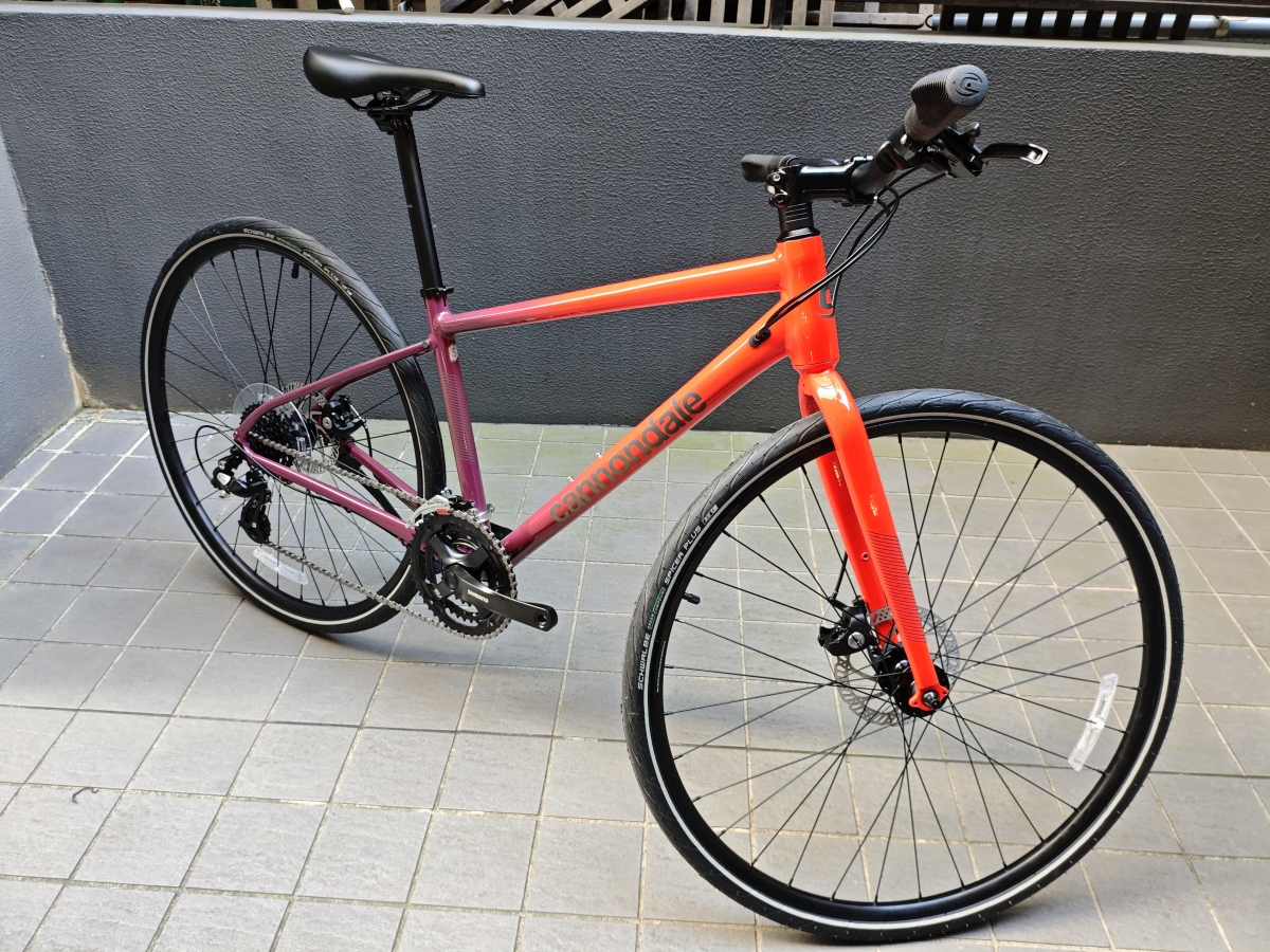 IMG_20251106_131419[1]