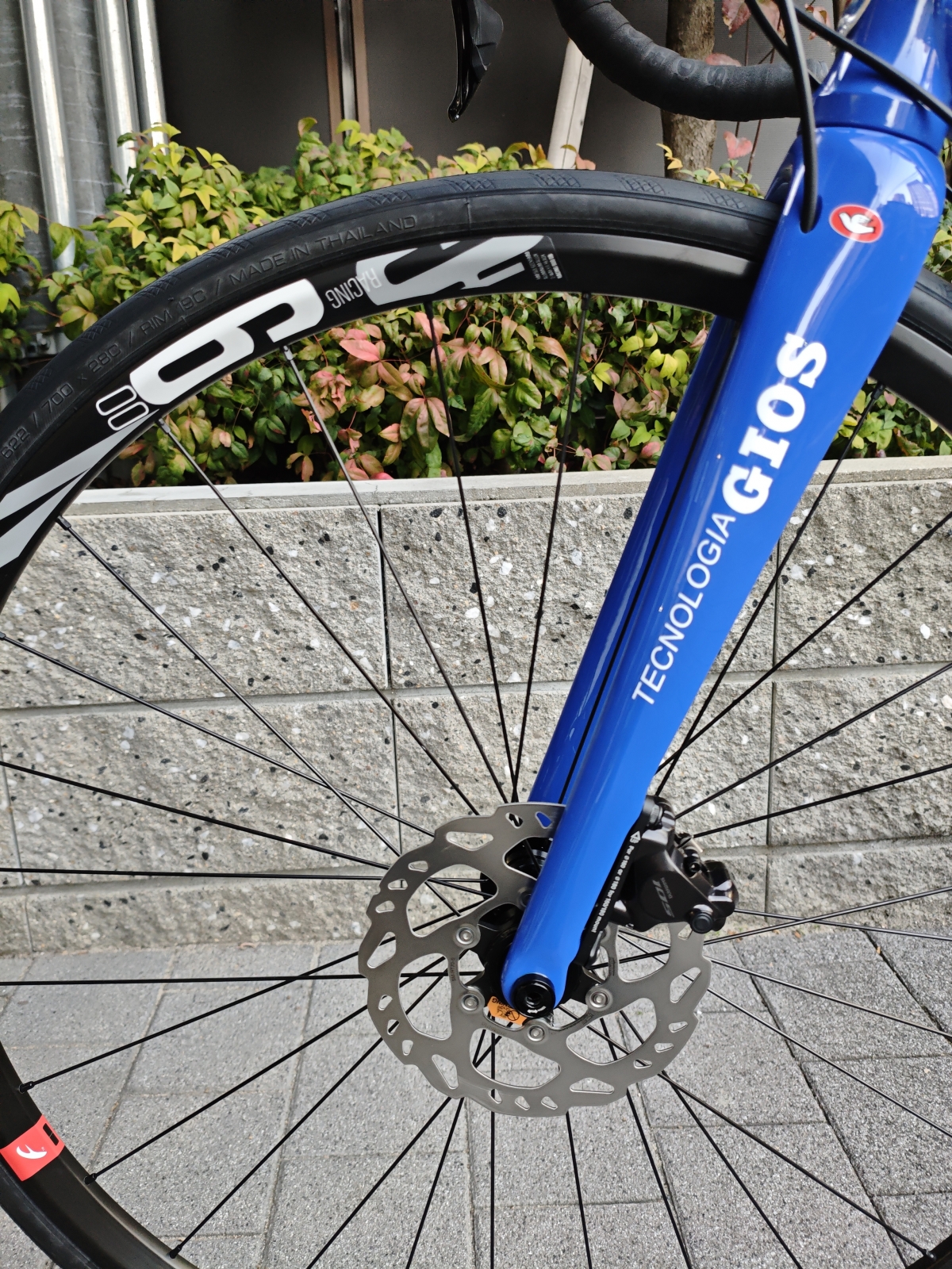 MVIMG_20251116_164758