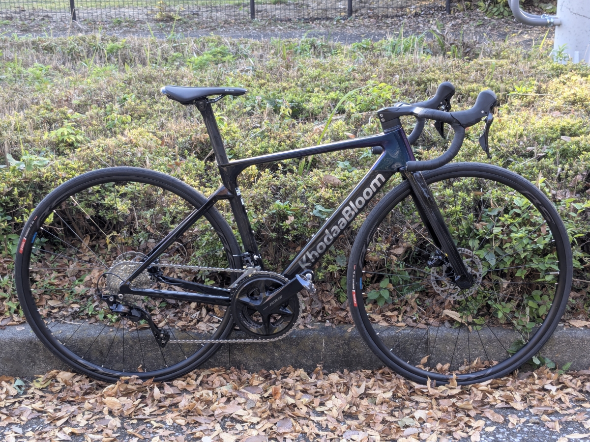 PXL_20251121_051545822