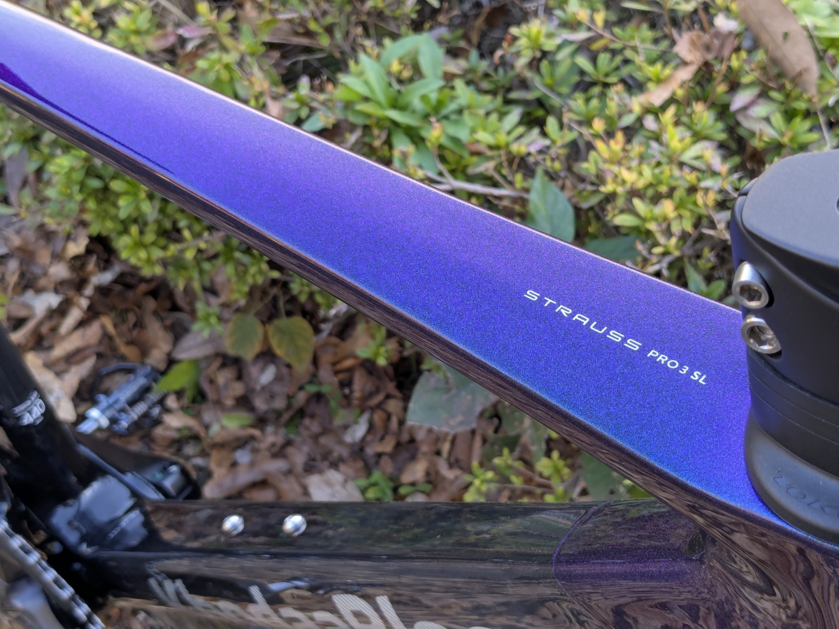 PXL_20251121_051553026