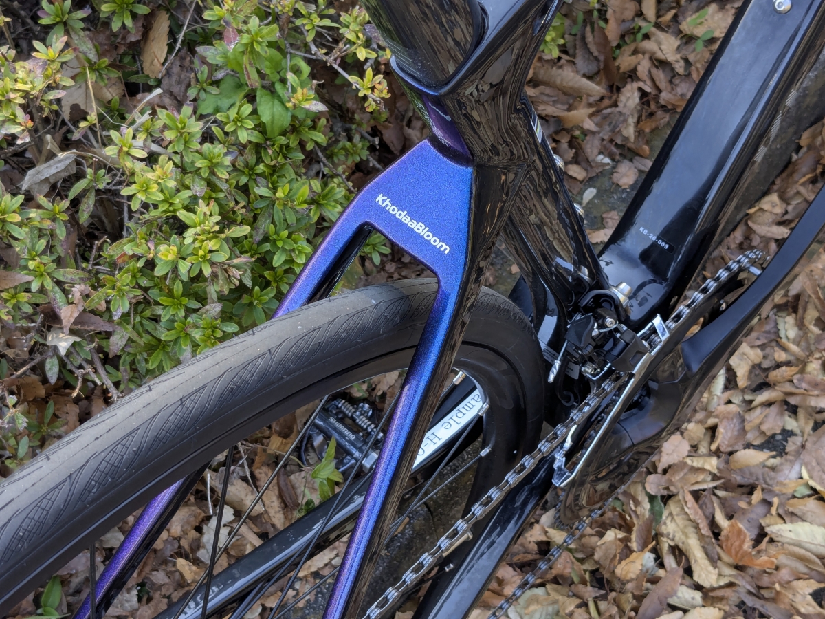 PXL_20251121_051605019