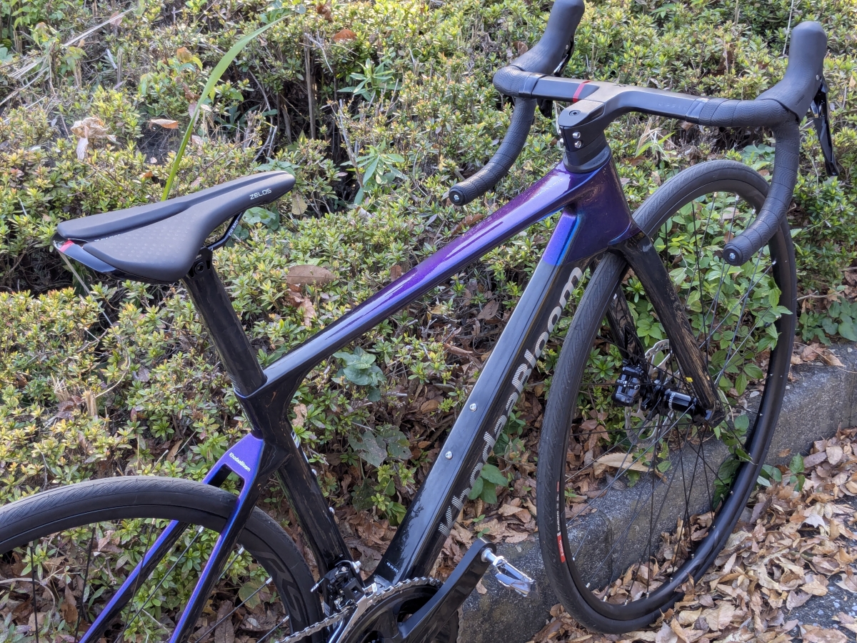 PXL_20251121_051616888