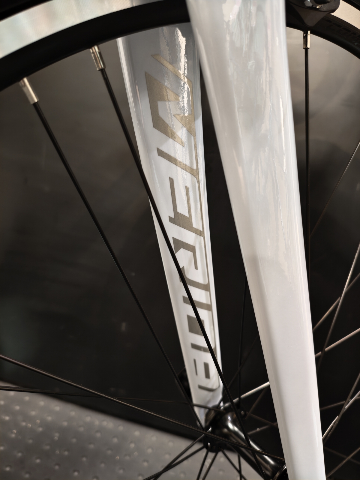 MVIMG_20251128_140126