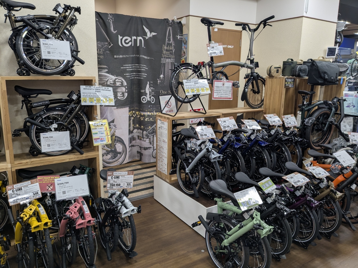 PXL_20251211_034113509