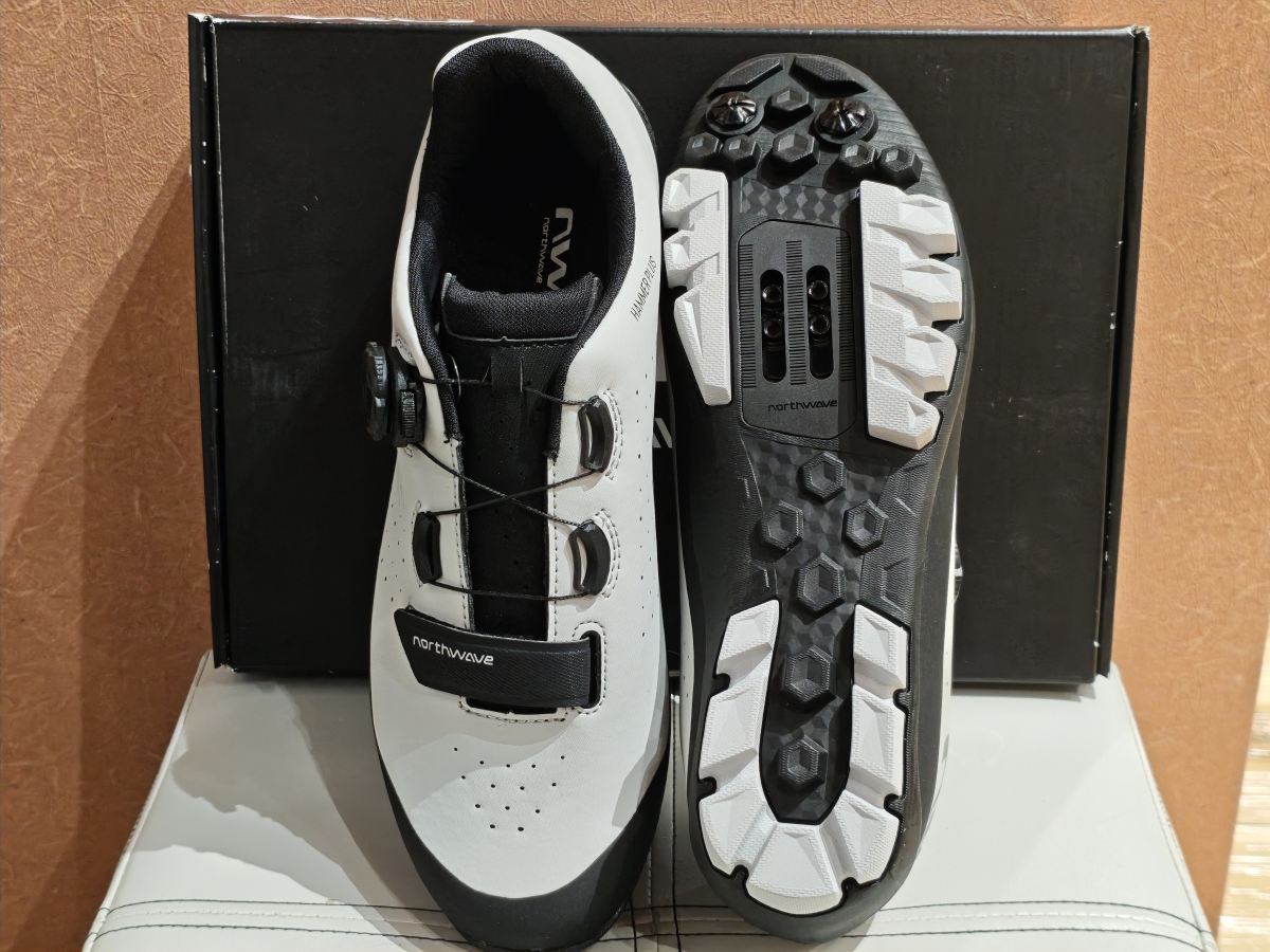 MVIMG_20260110_122239