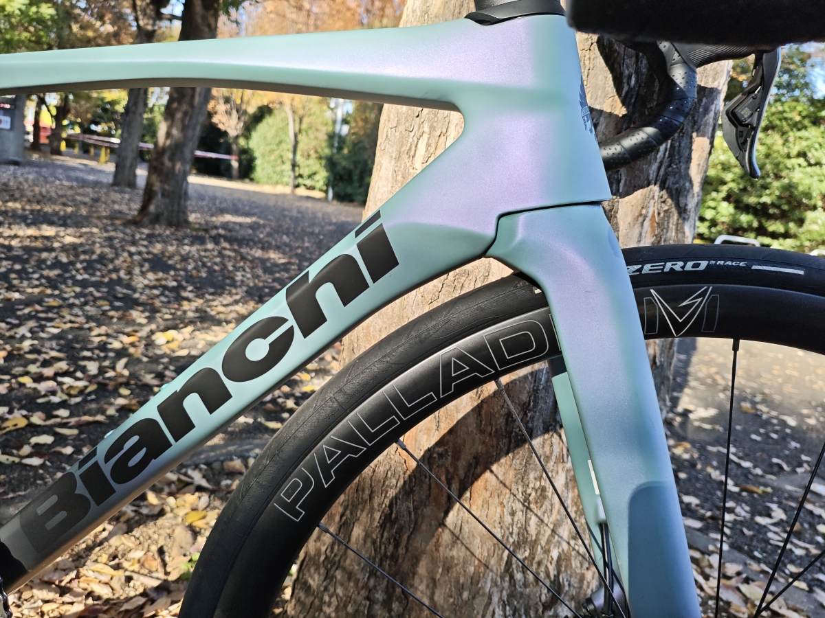 MVIMG_20251121_140603