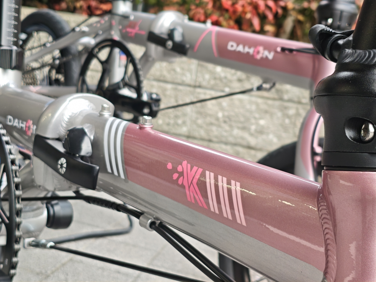 MVIMG_20260207_134044