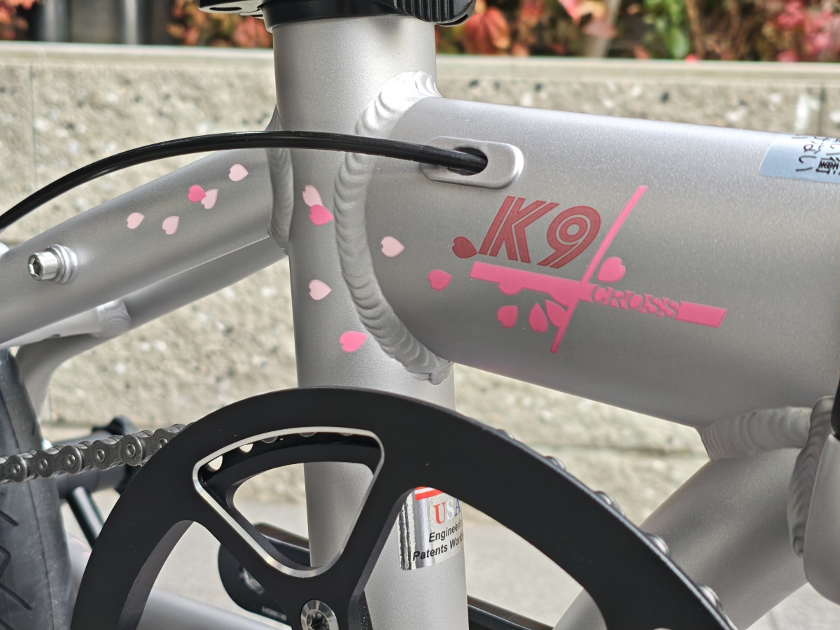 MVIMG_20260207_134116