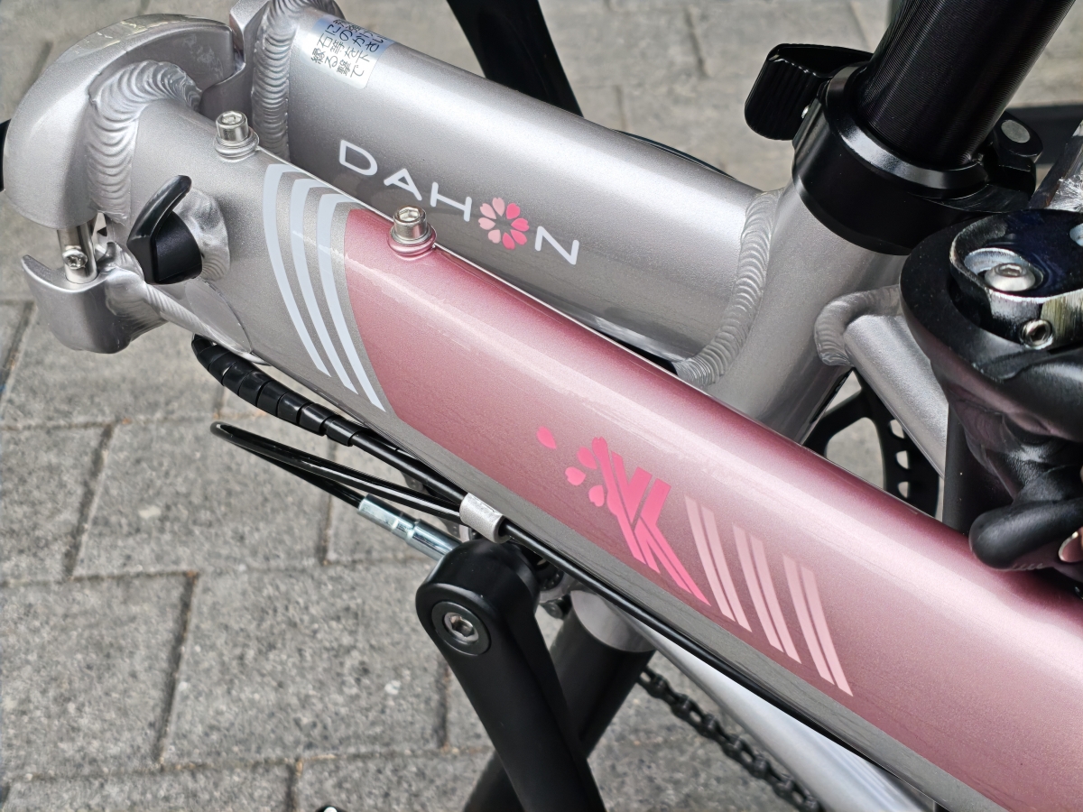 MVIMG_20260207_134837