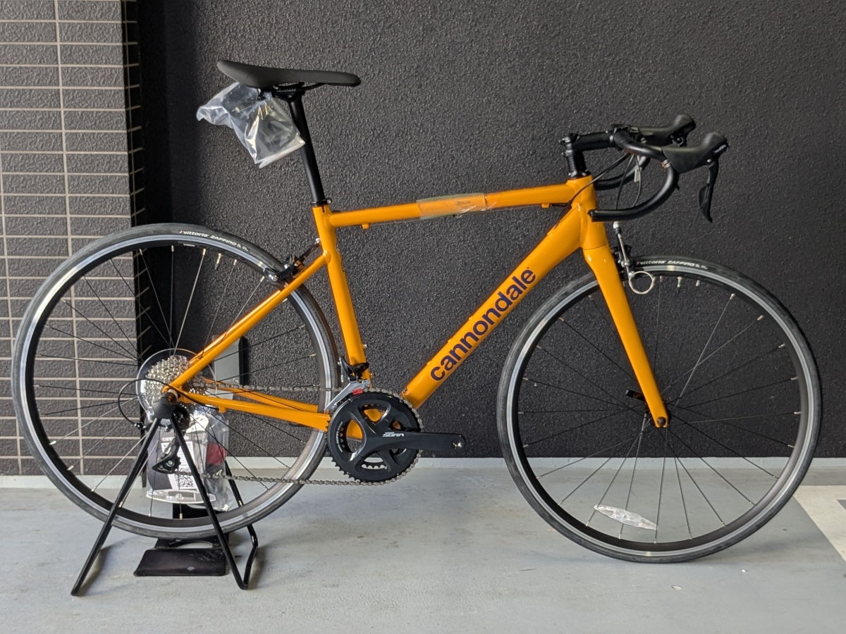 pxl_20250314_044958811