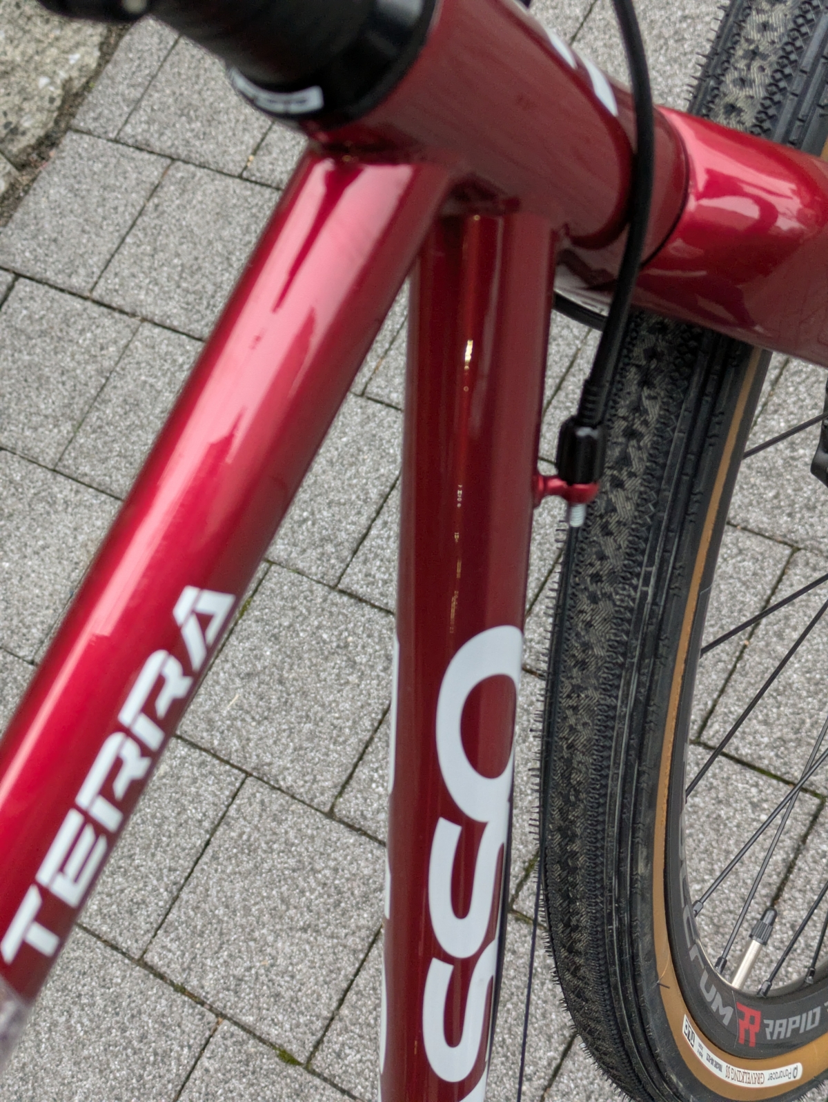 PXL_20260210_074306081