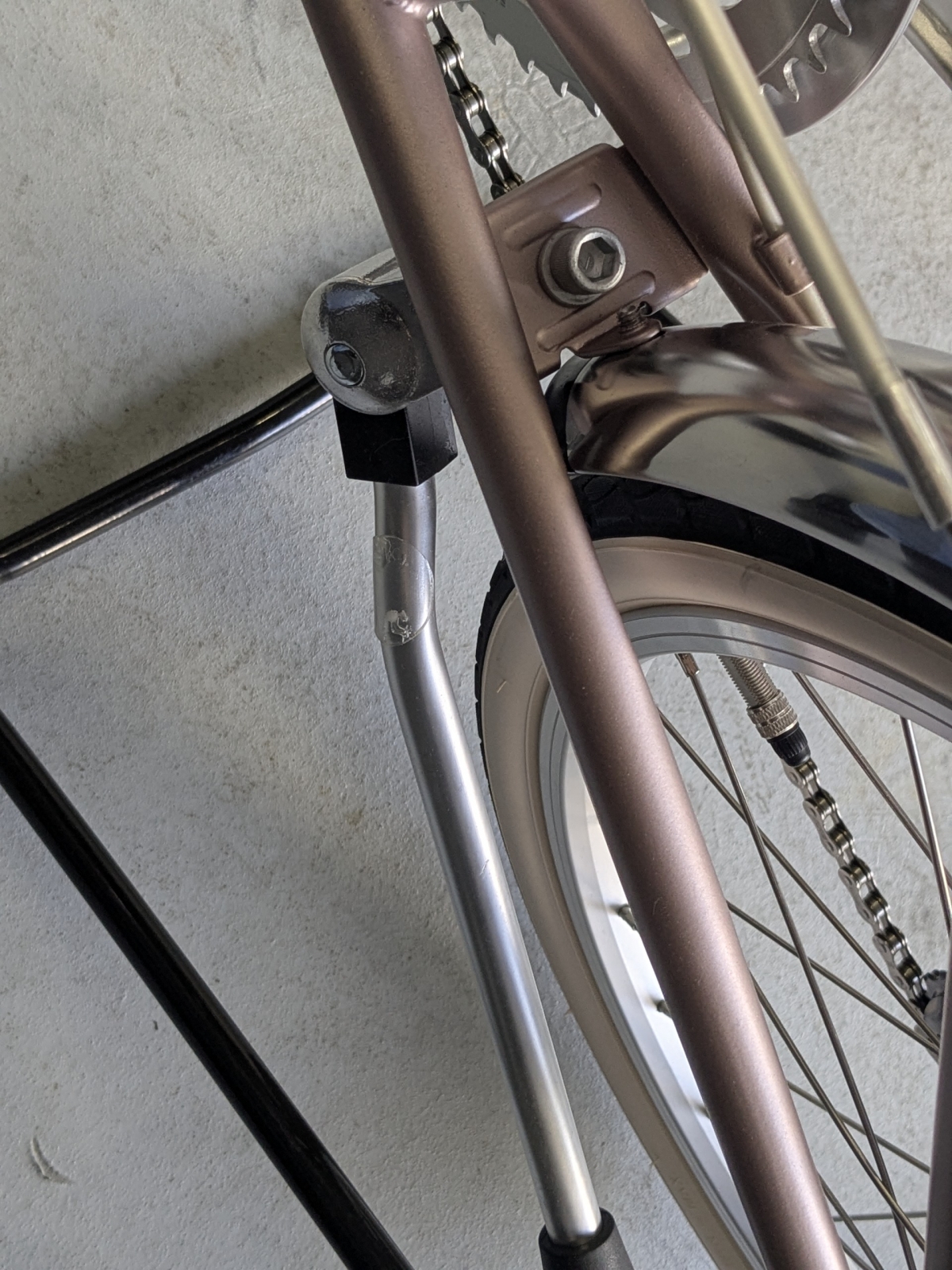 PXL_20260301_065358959