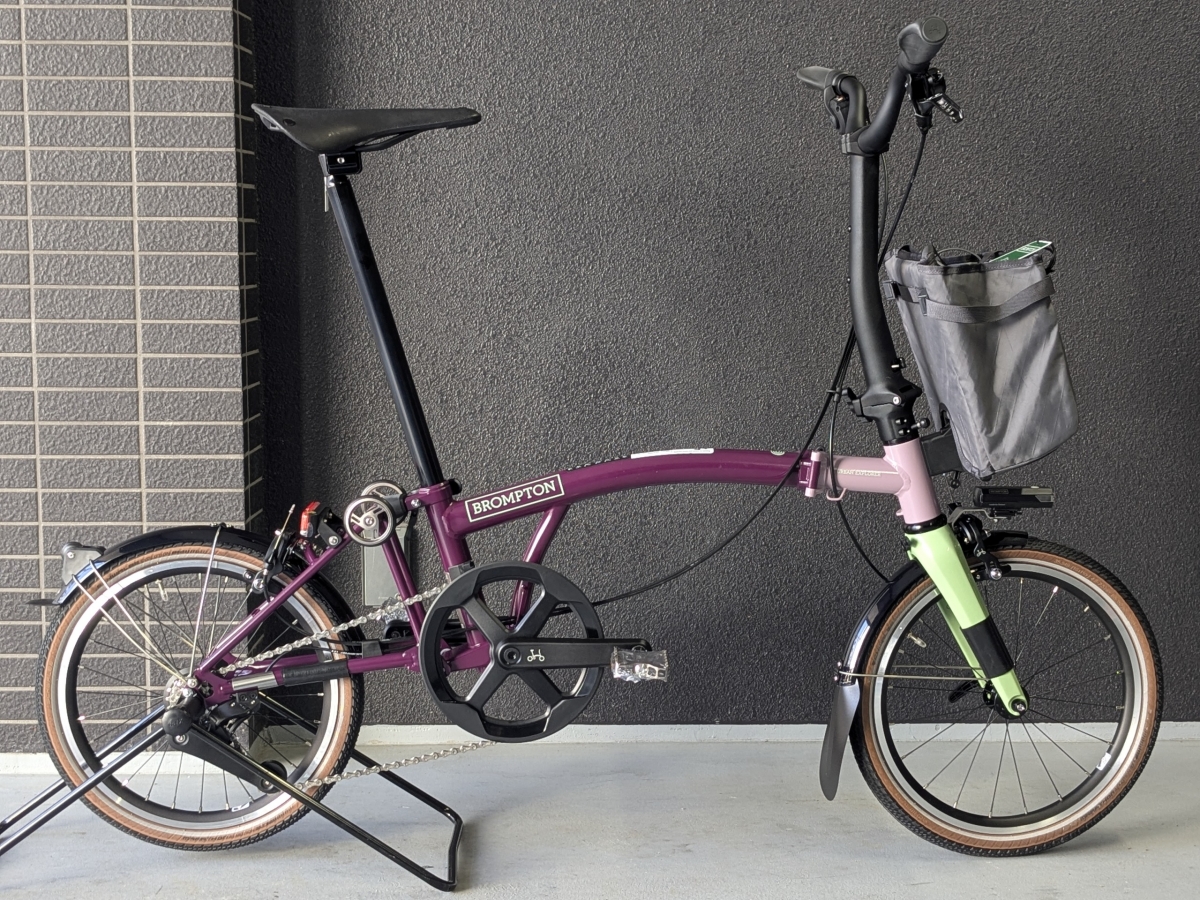 PXL_20260411_030854651