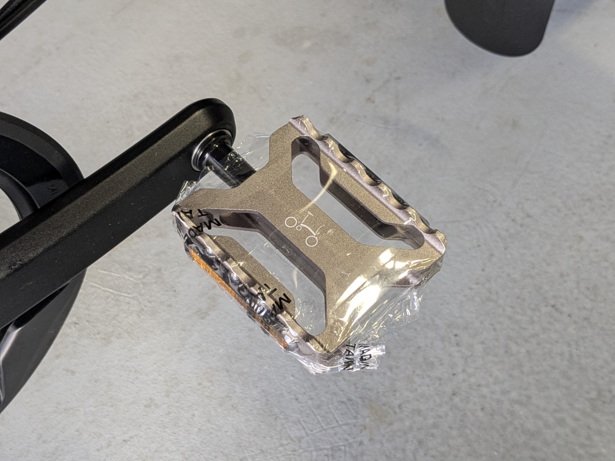 PXL_20260411_030949334