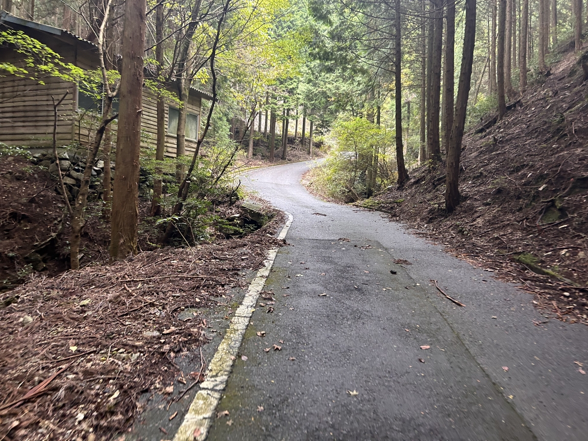 楢原山？林道ヨコグラ線？？どこじゃここは？？？ | Y's Road 松山店エミフルMASAKI