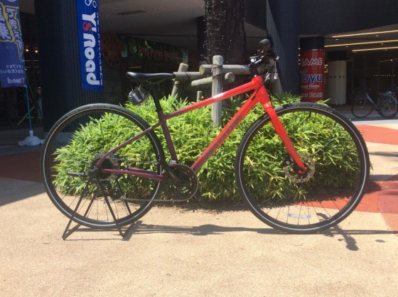 街中で際立つカラーリング！大人気クロスバイクシリーズの特別仕様