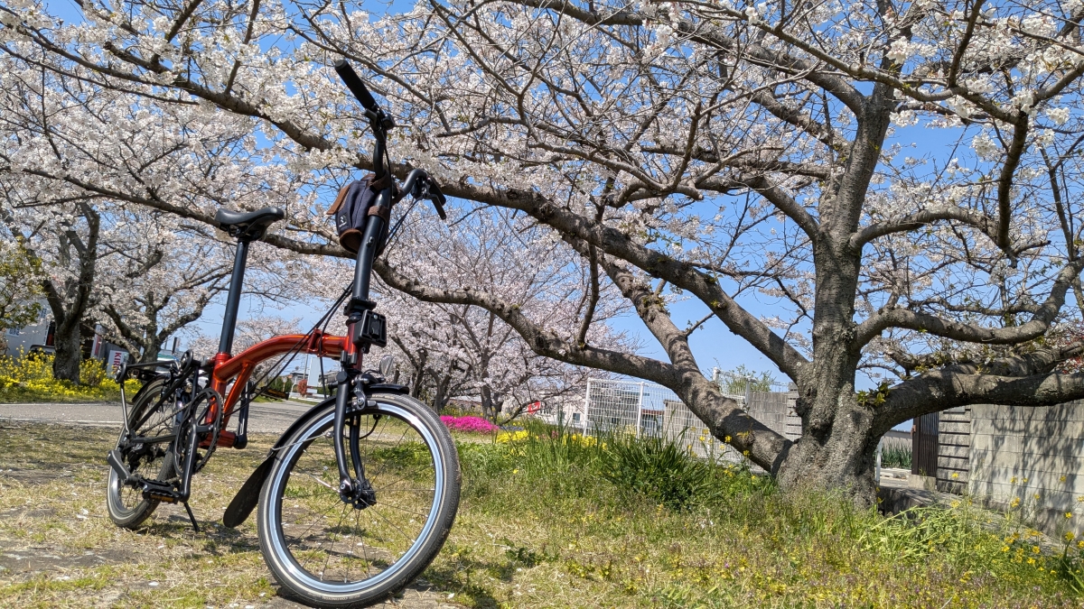 PXL_20250404_024338763