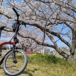 【BROMPTON】手ぶらで参加OK！輪行体験会は毎週日曜開催！ | Y's Road 松山店エミフルMASAKI