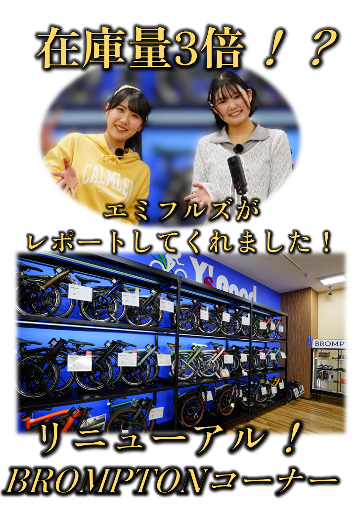 エミフルズリニューアル縦