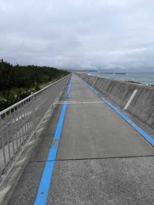 自転車道は安心