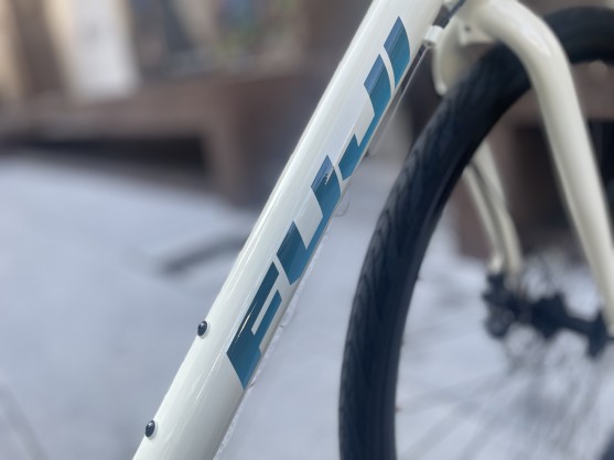 FUJI RAIZ DISC