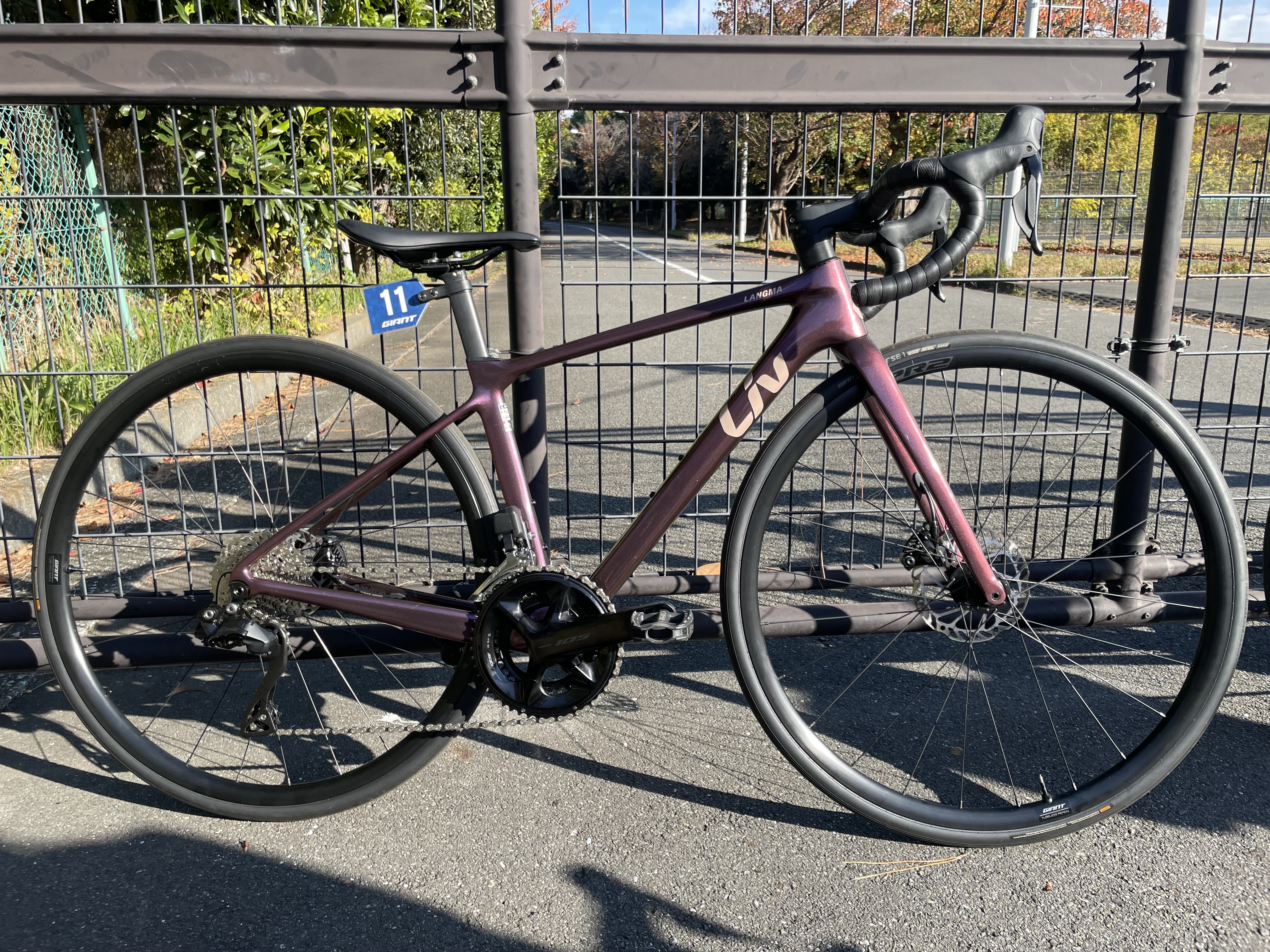 Liv LANGMA ADVANCED1 QOM