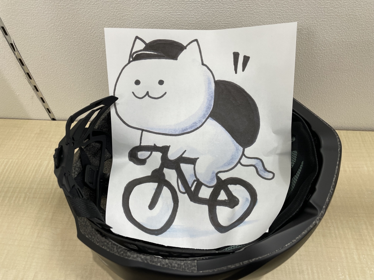 KABUTO OGK STEAIR-X2 カブト ステアーX2 ビッグサイズ XXXL 頭が大きい かぶれない ヘルメット 自転車用 ヘルメット着用努力義務 ロードバイク 猫鍋 猫好き 実測 検証