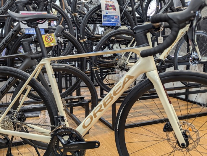 PXL_20251118_025619112.PORTRAIT